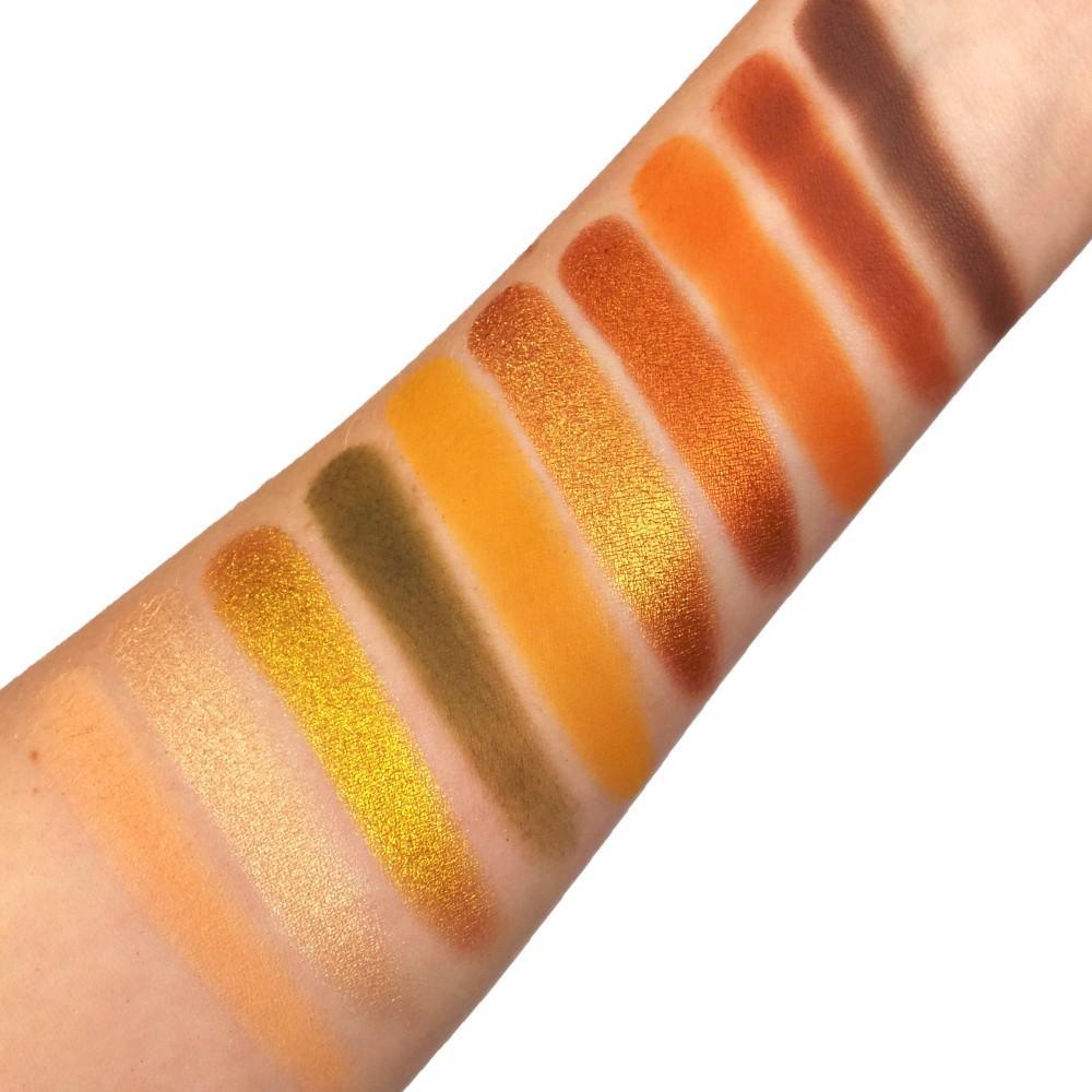 Party Animal 10 Eyeshadow Palette